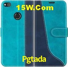 Login Seguro Pgtada
